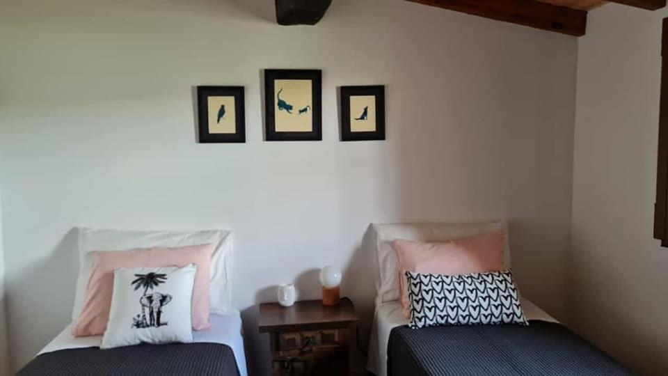 Вилла Casa Da Ti Adelia Janeiro de Cima Экстерьер фото